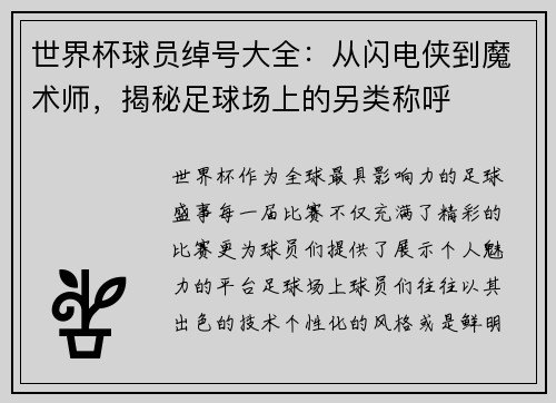 世界杯球员绰号大全：从闪电侠到魔术师，揭秘足球场上的另类称呼