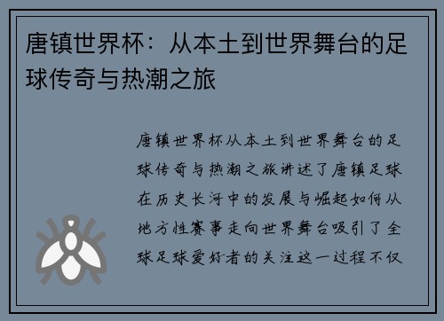 唐镇世界杯：从本土到世界舞台的足球传奇与热潮之旅